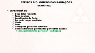 DANO FINAL
EFEITOS BIOLÓGICOS DAS RADIAÇÕES
 DEPENDERÁ DE
 Dose total recebida
 Taxa de dose
 Localização da fonte
 Parte do corpo irradiada
 Idade
 Sexo
 Condições gerais do indivíduo
 Danos adicionais provocados por outras causas
o (Ex. queimaduras por calor + radiação)
 