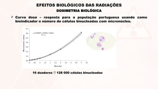  Curva dose – resposta para a população portuguesa usando como
bioindicador o número de células binucleadas com micronúcleo.
16 doadores  128 000 células binucleadas
DOSIMETRIA BIOLÓGICA
EFEITOS BIOLÓGICOS DAS RADIAÇÕES
 