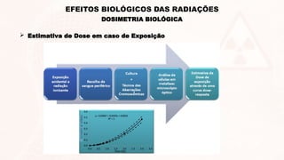  Estimativa de Dose em caso de Exposição
DOSIMETRIA BIOLÓGICA
EFEITOS BIOLÓGICOS DAS RADIAÇÕES
 