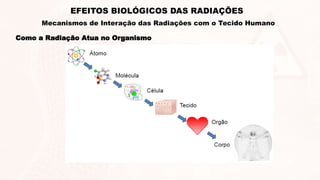 EFEITOS BIOLÓGICOS DAS RADIAÇÕES
Como a Radiação Atua no Organismo
Mecanismos de Interação das Radiações com o Tecido Humano
 