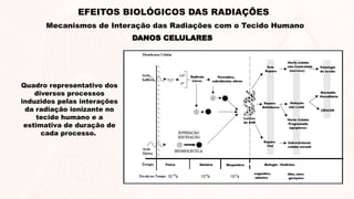 Quadro representativo dos
diversos processos
induzidos pelas interações
da radiação ionizante no
tecido humano e a
estimativa de duração de
cada processo.
DANOS CELULARES
EFEITOS BIOLÓGICOS DAS RADIAÇÕES
Mecanismos de Interação das Radiações com o Tecido Humano
 