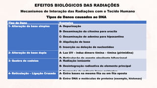 Tipos de Danos causados ao DNA
EFEITOS BIOLÓGICOS DAS RADIAÇÕES
Mecanismos de Interação das Radiações com o Tecido Humano
Tipo de Dano Exemplos
1- Alteração de base simples A- Depurinação
B- Desaminação da citosina para uracila
C- Desaminação de adenina para hipoxantina
D- Alquilação de base
E- Inserção ou deleção de nucleotídeo
F- Incorporação de base análoga
2- Alteração de base dupla A- Luz UV – induz dímero timina – timina (pirimidina)
B- Reticulação de agente alquilante bifuncional
3- Quebra de cadeias A- Radiação ionizante
B- Desintegração radioativa do elemento principal
C- Formação de radicais livres oxidantes
4- Reticulação – Ligação Cruzada A- Entre bases na mesma fita ou em fita oposta
B- Entre DNA e moléculas de proteína (exemplo, histonas)
 