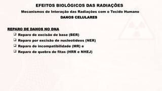 REPARO DE DANOS NO DNA
 Reparo de excisão de base (BER)
 Reparo por excisão de nucleotídeos (NER)
 Reparo de incompatibilidade (MR) e
 Reparo de quebra de fitas (HRR e NHEJ)
DANOS CELULARES
EFEITOS BIOLÓGICOS DAS RADIAÇÕES
Mecanismos de Interação das Radiações com o Tecido Humano
 