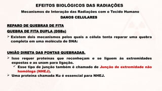 REPARO DE QUEBRAS DE FITA
QUEBRA DE FITA DUPLA (DSBs)
 Existem dois mecanismos pelos quais a célula tenta reparar uma quebra
completa em uma molécula de DNA:
UNIÃO DIRETA DAS PONTAS QUEBRADAS.
 Isso requer proteínas que reconheçam e se liguem às extremidades
expostas e as unam para ligação.
 Esse tipo de junção também é chamado de Junção de extremidade não
homóloga (NHEJ).
 Uma proteína chamada Ku é essencial para NHEJ.
DANOS CELULARES
EFEITOS BIOLÓGICOS DAS RADIAÇÕES
Mecanismos de Interação das Radiações com o Tecido Humano
 