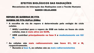 REPARO DE QUEBRAS DE FITA
QUEBRA DE FITA DUPLA (DSBs)
 A escolha da via de reparo é determinada pelo estágio do ciclo
celular.
 NHEJ contribui para o reparo de DSB em todas as fases do ciclo
celular, mas é mais ativo em G2/M,
 HRR contribui principalmente na fase S e modestamente em G2/
M.
 As células são mais radiossensíveis nas fases G1, G2 e M,
respectivamente.
 Durante a fase S, as células são as mais radiorresistentes
DANOS CELULARES
EFEITOS BIOLÓGICOS DAS RADIAÇÕES
Mecanismos de Interação das Radiações com o Tecido Humano
 