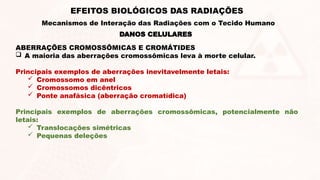 ABERRAÇÕES CROMOSSÔMICAS E CROMÁTIDES
 A maioria das aberrações cromossômicas leva à morte celular.
Principais exemplos de aberrações inevitavelmente letais:
 Cromossomo em anel
 Cromossomos dicêntricos
 Ponte anafásica (aberração cromatídica)
Principais exemplos de aberrações cromossômicas, potencialmente não
letais:
 Translocações simétricas
 Pequenas deleções
DANOS CELULARES
EFEITOS BIOLÓGICOS DAS RADIAÇÕES
Mecanismos de Interação das Radiações com o Tecido Humano
 