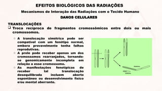 TRANSLOCAÇÕES
 Troca recíproca de fragmentos cromossômicos entre dois ou mais
cromossomos.
DANOS CELULARES
EFEITOS BIOLÓGICOS DAS RADIAÇÕES
Mecanismos de Interação das Radiações com o Tecido Humano
o A translocação simétrica pode ser
compatível com um fenótipo normal,
embora provavelmente tenha falhas
reprodutivas.
o A prole pode receber apenas um dos
cromossomos rearranjados, tornando-
se genomicamente incompleta em
relação a esse cromossomo.
o As manifestações fenotípicas de
receber tal translocação
desequilibrada incluem aborto
espontâneo ou desenvolvimento físico
e/ou mental aberrante.
 