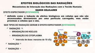DANOS CELULARES
EFEITOS BIOLÓGICOS DAS RADIAÇÕES
Mecanismos de Interação das Radiações com o Tecido Humano
o IRRADIAÇÃO DO NÚCLEO
o IRRADIAÇÃO DO CITOPLASMA
 RADIAÇÃO 
 RADIAÇÃO 
 RADIAÇÃO 
 Intervalo de dose: menores de 10 cGy
QUE TIPOS DE RADIAÇÃO GERAM O EFEITO ESPECTADOR (BYSTANDER)
 definido como a indução de efeitos biológicos em células que não são
atravessadas diretamente por uma partícula carregada, mas estão
próximas a células que o são.
EFEITO ESPECTADOR (BYSTANDER)
 
