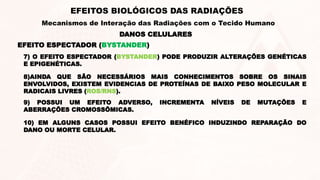 DANOS CELULARES
EFEITOS BIOLÓGICOS DAS RADIAÇÕES
Mecanismos de Interação das Radiações com o Tecido Humano
EFEITO ESPECTADOR (BYSTANDER)
7) O EFEITO ESPECTADOR (BYSTANDER) PODE PRODUZIR ALTERAÇÕES GENÉTICAS
E EPIGENÉTICAS.
9) POSSUI UM EFEITO ADVERSO, INCREMENTA NÍVEIS DE MUTAÇÕES E
ABERRAÇÕES CROMOSSÔMICAS.
10) EM ALGUNS CASOS POSSUI EFEITO BENÉFICO INDUZINDO REPARAÇÃO DO
DANO OU MORTE CELULAR.
8)AINDA QUE SÃO NECESSÁRIOS MAIS CONHECIMENTOS SOBRE OS SINAIS
ENVOLVIDOS, EXISTEM EVIDENCIAS DE PROTEÍNAS DE BAIXO PESO MOLECULAR E
RADICAIS LIVRES (ROS/RNS).
 