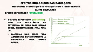 DANOS CELULARES
EFEITOS BIOLÓGICOS DAS RADIAÇÕES
Mecanismos de Interação das Radiações com o Tecido Humano
EFEITO ESPECTADOR (BYSTANDER)
11) O EFEITO ESPECTADOR (BYSTANDER)
PODE TER IMPORTÂNCIA NA
ESTIMATIVA DE RISCO PARA BAIXAS
DOSES, PRINCIPALMENTE PARA ALTA
LET.
o FALTARIAM MAIS DADOS PARA
ABANDONAR DEFINITIVAMENTE A
LINEARIDADE PARA BAIXAS
DOSES.
 