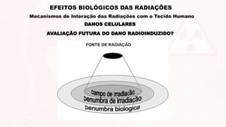 DANOS CELULARES
EFEITOS BIOLÓGICOS DAS RADIAÇÕES
Mecanismos de Interação das Radiações com o Tecido Humano
AVALIAÇÃO FUTURA DO DANO RADIOINDUZIDO?
 