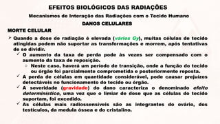 MORTE CELULAR
 Quando a dose de radiação é elevada (vários Gy), muitas células de tecido
atingidas podem não suportar as transformações e morrem, após tentativas
de se dividir.
 O aumento da taxa de perda pode às vezes ser compensado com o
aumento da taxa de reposição.
o Neste caso, haverá um período de transição, onde a função do tecido
ou órgão foi parcialmente comprometida e posteriormente reposta.
 A perda de células em quantidade considerável, pode causar prejuízos
detectáveis no funcionamento do tecido ou órgão.
 A severidade (gravidade) do dano caracteriza o denominado efeito
determinístico, uma vez que o limiar de dose que as células do tecido
suportam, foi excedido.
 As células mais radiossensíveis são as integrantes do ovário, dos
testículos, da medula óssea e do cristalino.
DANOS CELULARES
EFEITOS BIOLÓGICOS DAS RADIAÇÕES
Mecanismos de Interação das Radiações com o Tecido Humano
 