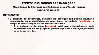 DETRIMENTO
 O conceito de detrimento, utilizado em proteção radiológica envolve a
combinação da probabilidade de ocorrência, severidade (gravidade) e
tempo de manifestação de um determinado dano.
 É a estimativa do dano (prejuízo) total que eventualmente seria
experimentado por um grupo ou pessoa expostos à radiação, inclusive
seus descendentes.
DANOS CELULARES
EFEITOS BIOLÓGICOS DAS RADIAÇÕES
Mecanismos de Interação das Radiações com o Tecido Humano
 