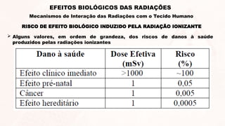  Alguns valores, em ordem de grandeza, dos riscos de danos à saúde
produzidos pelas radiações ionizantes
RISCO DE EFEITO BIOLÓGICO INDUZIDO PELA RADIAÇÃO IONIZANTE
EFEITOS BIOLÓGICOS DAS RADIAÇÕES
Mecanismos de Interação das Radiações com o Tecido Humano
 