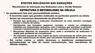  As membranas tem uma permeabilidade seletiva
o É incorreto supor que grandes moléculas ou partículas penetra na célula.
o Existe um mecanismo denominado de pinocitose
 Permite que partículas e moléculas inicialmente no meio exterior, consigam
habitar o interior da célula.
 Inicialmente são formados pequenos vacúolos e canais no citoplasma,
induzidos por aminoácidos, proteínas, sais e enzimas, que envolvem a partícula,
crescem e posteriormente se fecham, já com a partícula no interior da célula.
 Mecanismo diferente do transporte ativo, onde o movimento de moléculas é
regido pelo gradiente de concentração
 Os solventes passam de uma região de baixa concentração de soluto para uma
com alta concentração de soluto, pelo mecanismo denominado de osmose.
o Em certos casos, o soluto atravessa a membrana semipermeável
permanecendo no lado de menor concentração, num mecanismo de
difusão simples.
ESTRUTURA E METABOLISMO DA CÉLULA
EFEITOS BIOLÓGICOS DAS RADIAÇÕES
Mecanismos de Interação das Radiações com o Tecido Humano
 