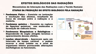ETAPAS DA PRODUÇÃO DO EFEITO BIOLÓGICO PELA RADIAÇÃO
 Fenômeno Físico – Consiste na ionização
e excitação dos átomos, resultante da
troca de energia entre a radiação e a
matéria.
 Fenômeno químico – Consiste na ruptura
de ligações químicas nas moléculas e
formação de radicais livres.
 Fenômenos Bioquímicos e fisiológicos –
Dependendo do órgão atingido teremos o
aparecimento desses efeitos.
 Lesões observáveis – Aparecem após um
intervalo de tempo variável e podem
ocorrer a nível celular ou a nível do
organismo inteiro provocando alterações
morfológicas ou funcionais.
EFEITOS BIOLÓGICOS DAS RADIAÇÕES
Mecanismos de Interação das Radiações com o Tecido Humano
 