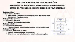 Estágio físico
 Dura cerca de 10-15
s
 Ionizações  desequilíbrio eletrostático das moléculas
 Excitações  pouco efeito
Estágio físico-químico
 Dura cerca de 10-6
s
 Quebra de ligações químicas
Estágio químico
 Dura poucos segundos
 Fragmentos da molécula se ligam a outras moléculas
Estágio biológico
 Dura dias, semanas ou anos
 Efeitos bioquímicos ou fisiológicos
 Alterações morfológicas e/ou funcionais nos órgãos
ETAPAS DA PRODUÇÃO DO EFEITO BIOLÓGICO PELA RADIAÇÃO
EFEITOS BIOLÓGICOS DAS RADIAÇÕES
Mecanismos de Interação das Radiações com o Tecido Humano
 