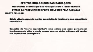 ETAPAS DA PRODUÇÃO DO EFEITO BIOLÓGICO PELA RADIAÇÃO
EFEITOS BIOLÓGICOS DAS RADIAÇÕES
Mecanismos de Interação das Radiações com o Tecido Humano
MORTE CELULAR
Célula viável: capaz de manter sua atividade funcional e sua capacidade
reprodutiva.
Conceito de “morte reprodutiva”: uma célula que pode permanecer
funcionalmente ativa e ainda passar uma ou várias mitoses até perder
sua capacidade clonogênica.
 
