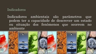 Indicadores

Indicadores ambientais são parâmetros que
podem ter a capacidade de descrever um estado
ou situação dos fenômenos que ocorrem no
ambiente

 