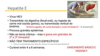 Hepatite E
• Vírus HEV
• Transmitida via digestiva (fecal-oral), ou ingesta de
carne mal cozida (porco), ou transmissão vertical do
binômio.
• Provoca grandes epidemias
• Não se torna crônica – mas é grave em grávidas do
2º e 3º trimestre!
• NÃO TEM TRATAMENTO ESPECÍFICO!
• Evita-se a automedicação para alívio dos sintomas ou tratamento igual Hepatite A!
• Curável entre 4 a 6 semanas.
Sintoma agudo, de curta duração e auto-limitada (2 – 6 semanas)!
SANEAMENTO BÁSICO E
HIGIENE!!
 