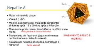 Hepatite A
• Maior número de casos
• Vírus A (HAV)
• Maioria assintomática, mas pode apresentar
sintomas após 15 e 50 dias após a infecção.
• Raramente pode causar insuficiência hepática e até
morte.
• Transmitido via fecal-oral (água e alimentos
contaminados ou relação sexual)
• Tratada por nutrição adequada, hidratação e
repouso!
SANEAMENTO BÁSICO E
HIGIENE!!
Existe vacina!
Infecção leve e cura-se sozinha!
 