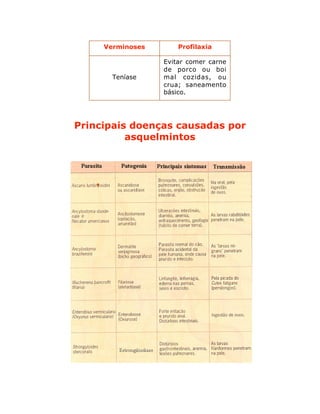 Principais doenças causadas por
asquelmintos
Verminoses Profilaxia
Teníase
Evitar comer carne
de porco ou boi
mal cozidas, ou
crua; saneamento
básico.
 