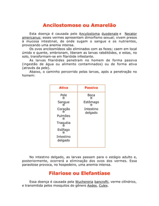 Ancilostomose ou Amarelão
Esta doença é causada pelo Ancylostoma duodenale e Necator
americanus; esses vermes apresentam dimorfismo sexual; vivem presos
à mucosa intestinal, de onde sugam o sangue e os nutrientes,
provocando uma anemia intensa.
Os ovos ancilosmídeos são eliminados com as fezes; caem em local
úmido e quente, embrionam, liberam as larvas rabditóides, e estas, no
solo, transformam-se em filarióide infestante.
As larvas filarióides penetram no homem de forma passiva
(ingestão de água ou alimento contaminados) ou de forma ativa
(através da pele).
Abaixo, o caminho percorrido pelas larvas, após a penetração no
homem:
No intestino delgado, as larvas passam para o estágio adulto e,
posteriormente, ocorrerá a eliminação dos ovos dos vermes. Essa
parasitose provoca, no hospedeiro, uma anemia intensa.
Filariose ou Elefantíase
Essa doença é causada pela Wuchereria bancrofti, verme cilíndrico,
e transmitida pelos mosquitos do gênero Aedes, Culex.
Ativa Passiva
Pele
‚
Sangue
‚
Coração
‚
Pulmões
‚
Traquéia
‚
Esôfago
‚
Intestino
delgado
Boca
‚
Estômago
‚
Intestino
delgado
 
