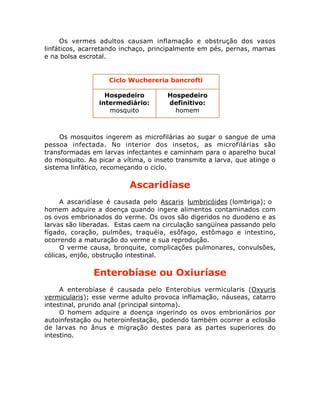 Os vermes adultos causam inflamação e obstrução dos vasos
linfáticos, acarretando inchaço, principalmente em pés, pernas, mamas
e na bolsa escrotal.
Os mosquitos ingerem as microfilárias ao sugar o sangue de uma
pessoa infectada. No interior dos insetos, as microfilárias são
transformadas em larvas infectantes e caminham para o aparelho bucal
do mosquito. Ao picar a vítima, o inseto transmite a larva, que atinge o
sistema linfático, recomeçando o ciclo.
Ascaridíase
A ascaridíase é causada pelo Ascaris lumbricóides (lombriga); o
homem adquire a doença quando ingere alimentos contaminados com
os ovos embrionados do verme. Os ovos são digeridos no duodeno e as
larvas são liberadas. Estas caem na circulação sangüínea passando pelo
fígado, coração, pulmões, traquéia, esôfago, estômago e intestino,
ocorrendo a maturação do verme e sua reprodução.
O verme causa, bronquite, complicações pulmonares, convulsões,
cólicas, enjôo, obstrução intestinal.
Enterobíase ou Oxiuríase
A enterobíase é causada pelo Enterobius vermicularis (Oxyuris
vermicularis); esse verme adulto provoca inflamação, náuseas, catarro
intestinal, prurido anal (principal sintoma).
O homem adquire a doença ingerindo os ovos embrionários por
autoinfestação ou heteroinfestação, podendo também ocorrer a eclosão
de larvas no ânus e migração destes para as partes superiores do
intestino.
Ciclo Wuchereria bancrofti
Hospedeiro
intermediário:
mosquito
Hospedeiro
definitivo:
homem
 