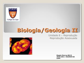 Biologia/Geologia IIBiologia/Geologia II
Unidade 6 – Reprodução
•Reprodução Assexuada
Magda Charrua BG II
2010/2011 COLÉGIO DA
LAPA
 