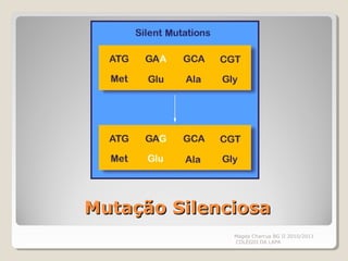 Mutação SilenciosaMutação Silenciosa
Magda Charrua BG II 2010/2011
COLÉGIO DA LAPA
 