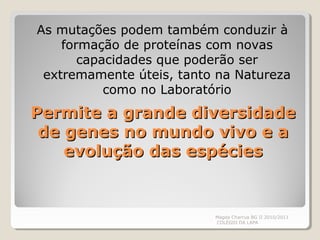 Permite a grande diversidadePermite a grande diversidade
de genes no mundo vivo e ade genes no mundo vivo e a
evolução das espéciesevolução das espécies
As mutações podem também conduzir à
formação de proteínas com novas
capacidades que poderão ser
extremamente úteis, tanto na Natureza
como no Laboratório
Magda Charrua BG II 2010/2011
COLÉGIO DA LAPA
 