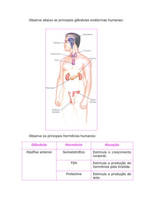 Observe abaixo as principais glândulas endócrinas humanas:
Observe os principais hormônios humanos:
Glândula Hormônio Atuação
Hipófise anterior Somatotrófico Estimula o crescimento
corporal.
TSH Estimula a produção de
hormônios pela tireóide.
Prolactina Estimula a produção de
leite
 
