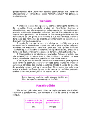 gonadotróficos: FSH (hormônios folículo estimulante), LH (hormônio
luteinizante); LTH (prolactina); esses hormônios atuam nas gônadas e
órgãos sexuais.
Tireóide
A tireóide é localizada no pescoço, sobre as cartilagens da laringe e
da traquéia. Essa glândula produz os hormônios tiroxina e
triiodotironina, que são responsáveis pelo aumento do metabolismo dos
animais, acelerando as reações químicas (quebra dos carboidratos, dos
lipídios e das proteínas). Se a tireóide de um animal jovem for retirada,
por exemplo de um girino, não ocorrerá a sua metamorfose, devido à
deficiência dos hormônios da tireóide, que interferem no crescimento e
desenvolvimento do organismo.
A produção excessiva dos hormônios da tireóide provoca o
emagrecimento, nervosismo, tremor nas mãos, perturbações psíquicas
aumento da freqüência cardíaca, profusão dos globos oculares
(exoftalmia). Esse quadro é denominado hipertireoidismo, enquanto a
deficiência dos hormônios tireoideanos é denominada hipotireoidismo.
O hipotireoidismo congênito provoca lesões físicas e mentais, que
são irreversíveis, enquanto que o hipotireoidismo no adulto provoca
apatia, sonolência, obesidade, pressão arterial baixa, edema.
A secreção dos hormônios tireoidianos é estimulada pela hipófise.
Esse hormônio estimula a captação do iodo pelas células da tireóide e
aumenta a atividade das células secretoras. O iodo é obtido da ingestão
de vegetais, peixes, ostras e camarões. Dieta pobre em iodo pode
provocar o bócio endêmico (aumento do volume da tireóide); podemos
evitá-lo com a adição obrigatória de iodo ao sal de cozinha.
Paratireóide
São quatro glândulas localizadas na região posterior da tireóide;
secretam o paratormônio, que controla a taxa de cálcio e fósforo no
sangue.
Bócio (papo) também pode ocorrer devido ao
hipo ou hiperfuncionamento da tireóide.
Concentração de
cálcio no sangue
Secreção do
paratormônio
alta inibição
 