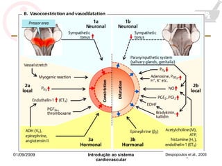 Despopoulos et al., 2003 
