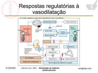 Respostas regulatórias à vasodilatação Lüllmann et al., 2005 