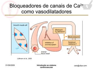 Bloqueadores de canais de Ca 2+  como vasodilatadores Lüllmann et al., 2005 