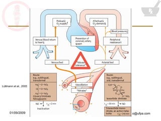 Lüllmann et al., 2005 