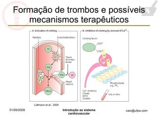 Formação de trombos e possíveis mecanismos terapêuticos Lüllmann et al., 2005 