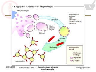 Lüllmann et al., 2005 