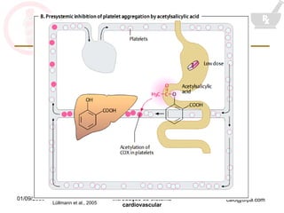 Lüllmann et al., 2005 