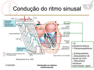 Condução do ritmo sinusal ↑  β -simpatomiméticos ↑  Parassimpatolíticos ↓  β -bloqueadores ↓  bloqueadores de canais de Ca2+ ↓  Glicosídeos cardíacos (estimulação vagal) Despopoulos et al., 2003 