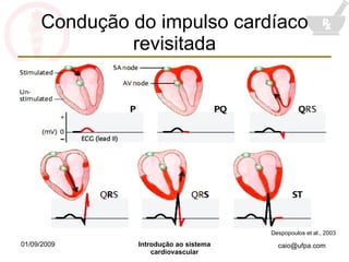 Condução do impulso cardíaco revisitada Despopoulos et al., 2003 