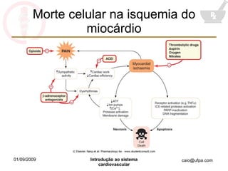Morte celular na isquemia do miocárdio 