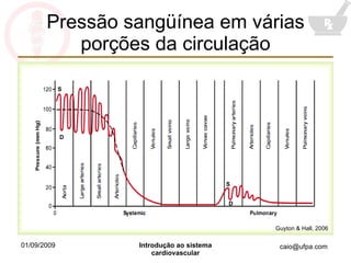 Pressão sangüínea em várias porções da circulação Guyton & Hall, 2006 S D S D 