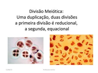 Divisão Meiótica:
            Uma duplicação, duas divisões
           a primeira divisão é reducional,
                a segunda, equacional




11/03/13                 Professora Ionara
 