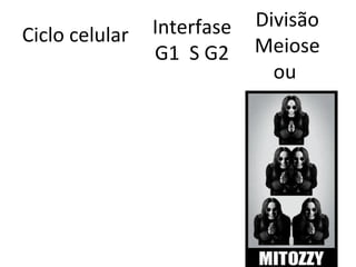 Interfase   Divisão
Ciclo celular               Meiose
                G1 S G2
                              ou
 