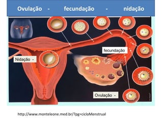 Ovulação -              fecundação            -       nidação




                                              fecundação

Nidação -




                                          Ovulação -



 http://www.monteleone.med.br/?pg=cicloMenstrual
 