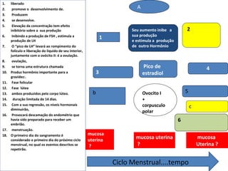 1.    liberado
2.     promove o desenvolvimento de.                                           A
3.     Produzem
4.     se desenvolve.
5.     Elevação da concentração tem efeito
      inibitório sobre a sua produção                                        Seu aumento inibe a         2
6.     Inibindo a produção de FSH , estimula a                               sua produção
                                                                   1
      produção de LH                                                         e estimula a produção
7.     O “pico de LH” levará ao rompimento do                                de outro Hormônio
      folículo e liberação do líquido de seu interior,
      juntamente com o ovócito II: é a ovulação.
8.     ovulação,
9.     se torna uma estrutura chamada                                              Pico de                           4
10.   Produz hormônio importante para a                        3                   estradiol
      gravidez:.
11.    Fase folicular
12.    Fase lútea
13.    ambos produzidos pelo corpo lúteo.                  b                       Ovocito I             5
14.     duração limitada de 14 dias.                                               +
15.    Com a sua regressão, os níveis hormonais                                    corpusculo                c
      diminuirão,
                                                                                   polar
16.    Provocará descamação do endométrio que
      havia sido preparado para receber um                                                           6
      embrião.
17.    menstruação.
18.   O primeiro dia do sangramento é                    mucosa
      considerado o primeiro dia do próximo ciclo        uterina               mucosa uterina                    mucosa
      menstrual, no qual os eventos descritos se         ?                     ?                                 Uterina ?
      repetirão.


                                                                       Ciclo Menstrual....tempo
 