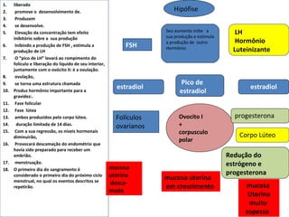 1.    liberado
2.     promove o desenvolvimento de.                                      Hipófise
3.     Produzem
4.     se desenvolve.
5.     Elevação da concentração tem efeito                             Seu aumento inibe a          LH
      inibitório sobre a sua produção                                  sua produção e estimula
                                                                       a produção de outro          Hormônio
6.     Inibindo a produção de FSH , estimula a                FSH
      produção de LH
                                                                       Hormônio                    Luteinizante
7.     O “pico de LH” levará ao rompimento do
      folículo e liberação do líquido de seu interior,
      juntamente com o ovócito II: é a ovulação.
8.     ovulação,
9.     se torna uma estrutura chamada                                        Pico de
                                                           estradiol                                    estradiol
10.   Produz hormônio importante para a                                      estradiol
      gravidez:.
11.    Fase folicular
12.    Fase lútea
13.    ambos produzidos pelo corpo lúteo.                  Folículos         Ovocito I             progesterona
14.     duração limitada de 14 dias.
                                                           ovarianos         +
15.    Com a sua regressão, os níveis hormonais                              corpusculo              Corpo Lúteo
      diminuirão,
                                                                             polar
16.    Provocará descamação do endométrio que
      havia sido preparado para receber um
      embrião.                                                                                   Redução do
17.    menstruação.
                                                         mucosa
                                                                                                 estrógeno e
18.   O primeiro dia do sangramento é
      considerado o primeiro dia do próximo ciclo        uterina                                 progesterona
      menstrual, no qual os eventos descritos se
                                                                       mucosa uterina
                                                         desca-                                        mucosa
      repetirão.                                                       em crescimento
                                                         mada
                                                                                                        Uterina
                                                                                                        muito
                                                                                                       espessa
 