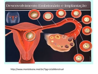 http://www.monteleone.med.br/?pg=cicloMenstrual
 